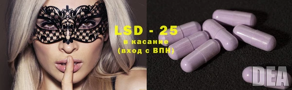 гашик Алзамай