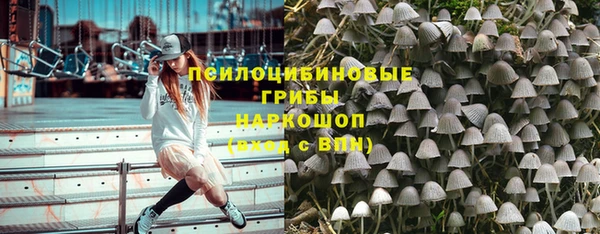 индика Михайловка