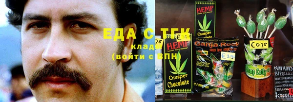 индика Михайловск