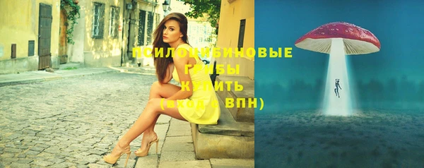 стаф Михайлов